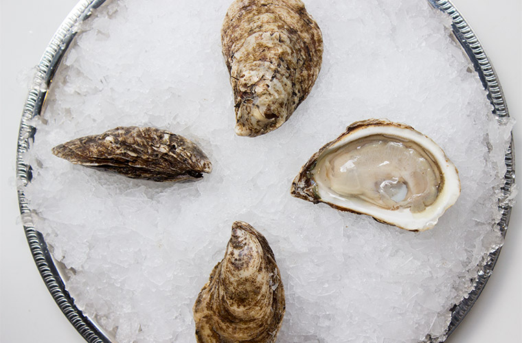 Eel Lake Oyster — Oysterology Online Pangea Shellfish Company